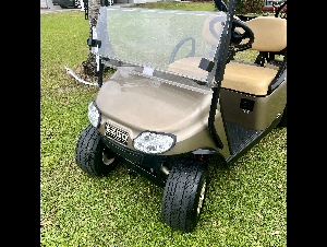 2020 ezgo txt 48volt trojan batteries 2 seater